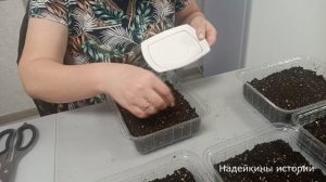 Проверяю чужой опыт