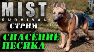 (Архив) Стрим Mist Survival #4 ☛ Идем за псом ✌