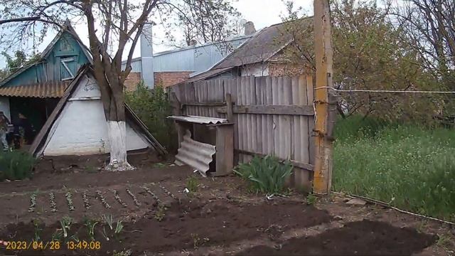 Весь день работаем на участке / Посадили помидоры Перец Картошку / Купили домик в деревне / Влог