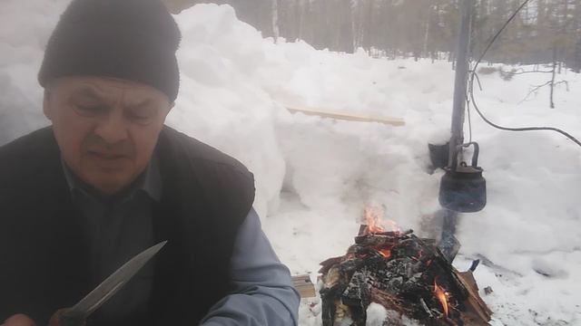 Лесные байки медведь и блины. смотреть онлайн