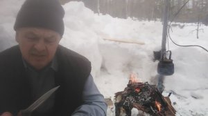 Лесные байки медведь и блины.