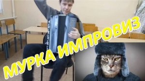 МУРКА на баяне! В конце подняло вихрем энергии!