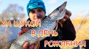 За ЩУКОЙ в день РОЖДЕНИЯ 💪💪💪 Джиг с берега 👍👍👍