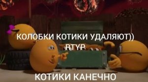 КОЛОБКИ КОТИКИ УДАЛЯЮТ)) | RTYP | БАРСУЧИЙ12К (перезалив)
