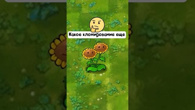 миниатюра №47 - растения против зомби  #пвз #pvz #shorts