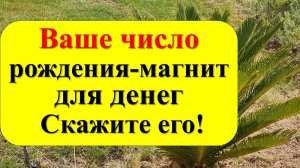 Ваше число рождения – это магнит для денег. Просто произнесите его!