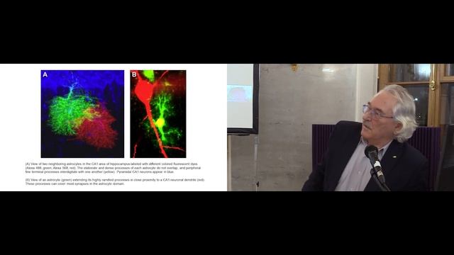 Павел Балабан - Память и время смотреть онлайн