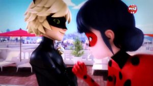 Miraculous Ladybug AMV| Леди Баг и Супер-Кот| Ladynoir| Animals