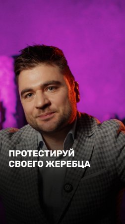 Протестируй своего жеребца