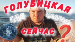 ГОЛУБИЦКАЯ СЕЙЧАСМЕДУЗЫ,ВОНЬКАКОЙ-ТО УЖАС#голубицкая #азовскоеморе #отдых #закат