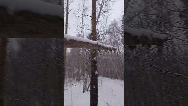 Ого