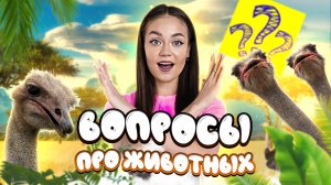 Вопросы про животных // образовательные видео Valynha