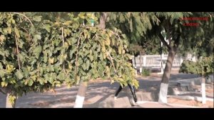Yirtqichlar Todasi 6-Qism (Janr Boevik Mafiya) Йиртқичлар Тўдаси Ўзбек сериял Режиссёр Шавкат Жайро