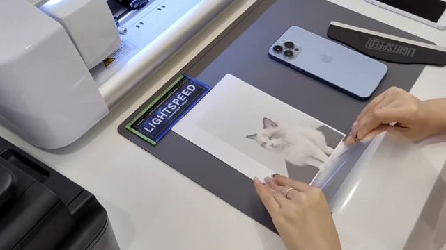 Lightspeed LS-747 Smart Plotter Custom Pattern Printing Tutorial （Use The Company's Cat As A Model）