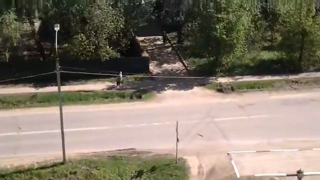 Вот они мои КРАСАВЦЫЫЫ!!! Вот они мои родненькие!! смотреть онлайн