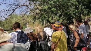 Таиланд, зоопарк Khao Kheow январь 2025.mp4