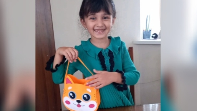 Сумочка из фетра!!! 🦊 смотреть онлайн