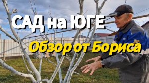 С А Д на Ю Г Е. Обзор от Бориса. Станица НАТУХАЕВСКАЯ