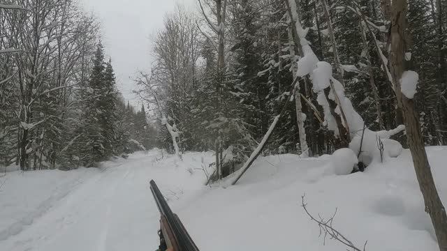ЗАГОННАЯ ОХОТА НА ЛОСЯ ПО БЕЛОЙ ТРОПЕ. смотреть онлайн