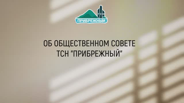 Обсуждение по Общественному Совету ТСН 