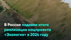 В России подвели итоги реализации нацпроекта «Экология» в 2024 году