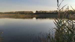 Снова катаюсь по неизвестным прудам с поплавком. Рыбалка у черта на куличках