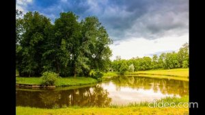музыка для души / шум воды пение птиц / релакс музыка