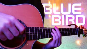 BLUE BIRD - РЕАЛЬНЫЙ ВЫЗОВ СЕБЕ