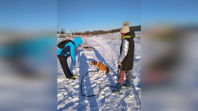 Дорогою добра