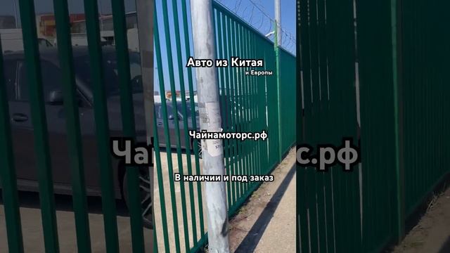 Авто из Германии в 2024 #чайнамоторс #volkswagen #touareg #туарег #фольцваген #грузия #авто