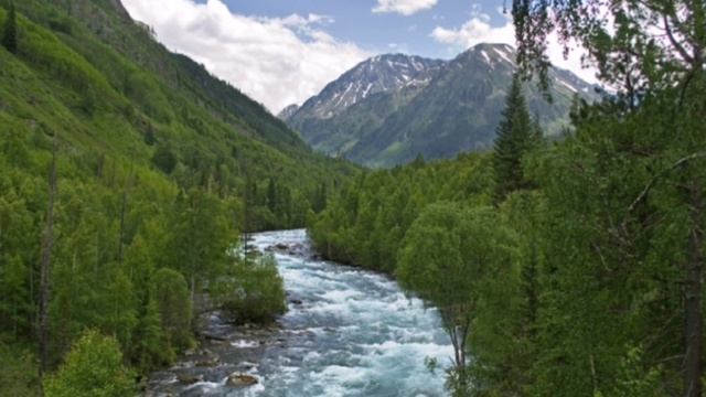 11 января - День заповедников и национальных парков России