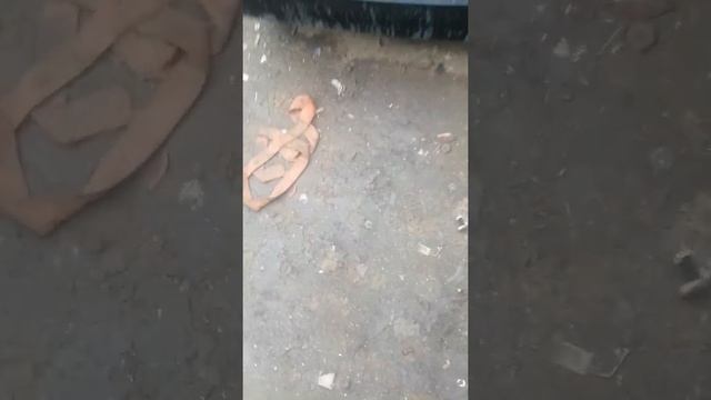 Развлечения Авторазборщика авто в утиль