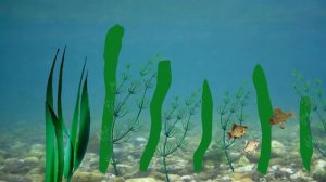 Мультфильм "Подводный мир Шустрика". 2 серия.