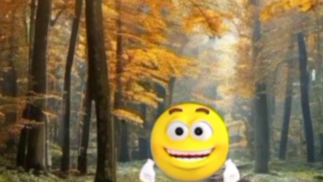 Смайлик и его друзья звери *** Автор Лена Подгагулина , ( Монтаж , музыка и читает Елена Прошкина ).