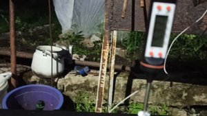 Горячее копчение грудинки.