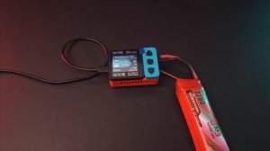 SKYRC B6NEO Smart Charger