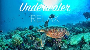 Beautiful Underwater Rainbow Coral Reef Deep Relaxation and Body Mind Restoration, Calm Piano Music