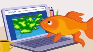 Рекламный ролик Fishplace