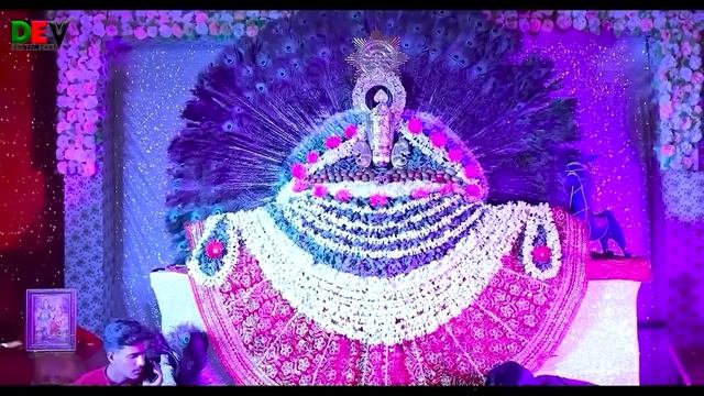 पानी है सर से ऊपर मुसीबत अड़ गई है | Pani Hai Sar Se Upar | Adhishtha Anushka Shyam Bhajan 2024