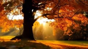 Расставание со Старыми Обидами*Музыка для Медитации