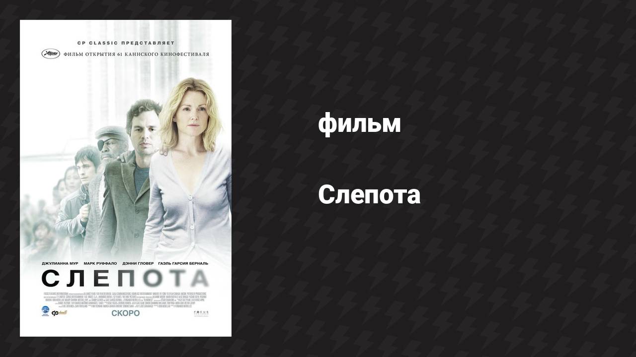 Слепота (фильм, 2008)