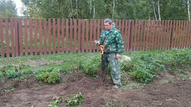 УРОЖАЙ. ПЕРВЫЙ СЕЗОН. КОНЕЧНО ПОКА НЕ РЕНТАБЕЛЬНО. смотреть онлайн