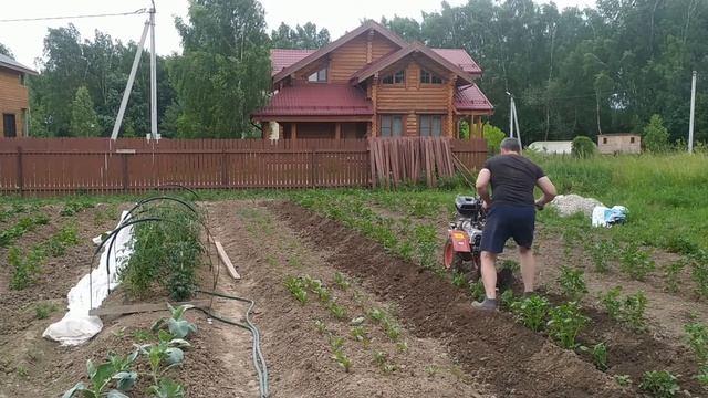 МОТОБЛОК УГРА. ОКУЧИВАНИЕ КАРТОФЕЛЯ МОТОБЛОКОМ . ОПЫТА НОЛЬ