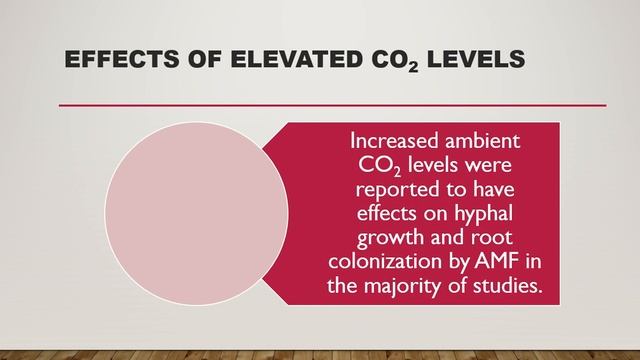 What is the effect of global changing conditions on AMF ? || /// how elevated co2 effects? смотреть онлайн