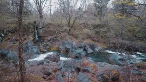 Прогулка на природе в дождливый день в Никко, Япония, расслабляющие звуки природы