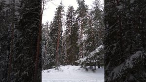 №66 Выравнивание полей