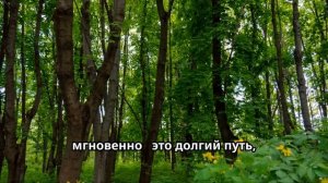 Саммари | краткое описание книги «Whole Again. Как залечить душевные раны»