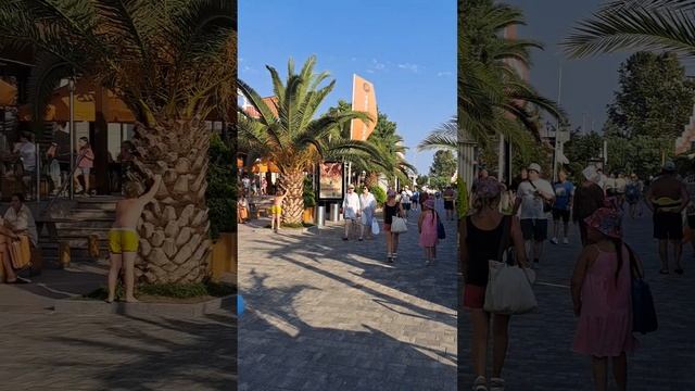 АДЛЕР. 31 АВГУСТА. МАНДАРИН. #пляжчайка. #побережье. смотреть онлайн