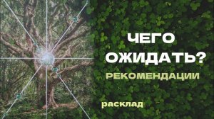 Ваш РОД хочет говорить Вы все делаете ВЕРНО❗️НОЧНОЕ послание