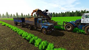 Farming Simulator 2022 Уборка моркови